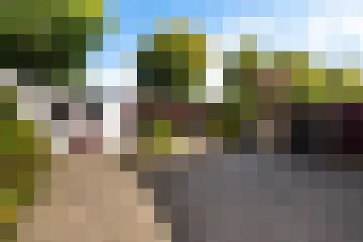 Sportfjild 3 Balk thumbnail 31