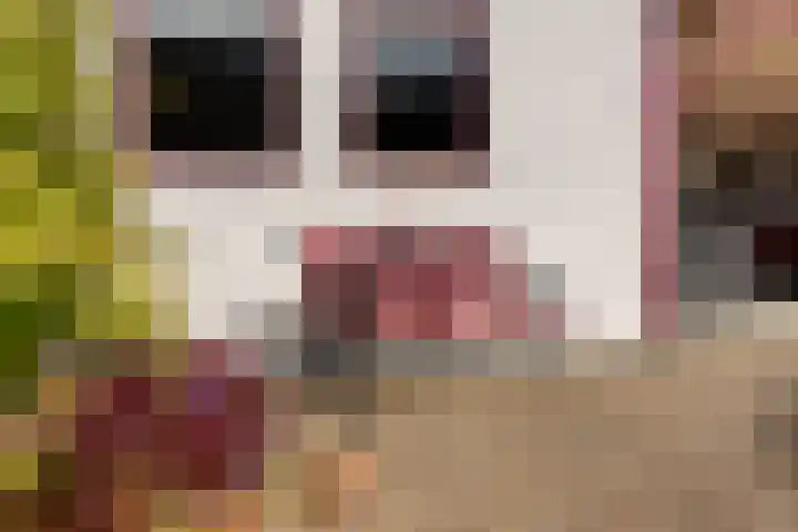 Sportfjild 3 Balk thumbnail 32