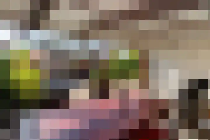 Sportfjild 3 Balk thumbnail 35