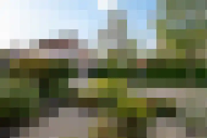 Sportfjild 3 Balk thumbnail 39