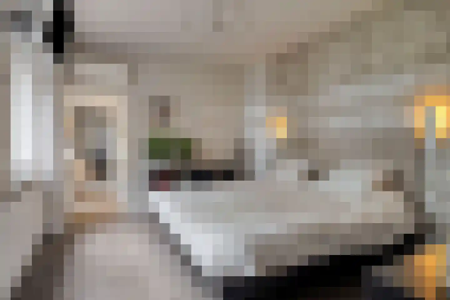 Sportlaan 1 Berlicum thumbnail 28