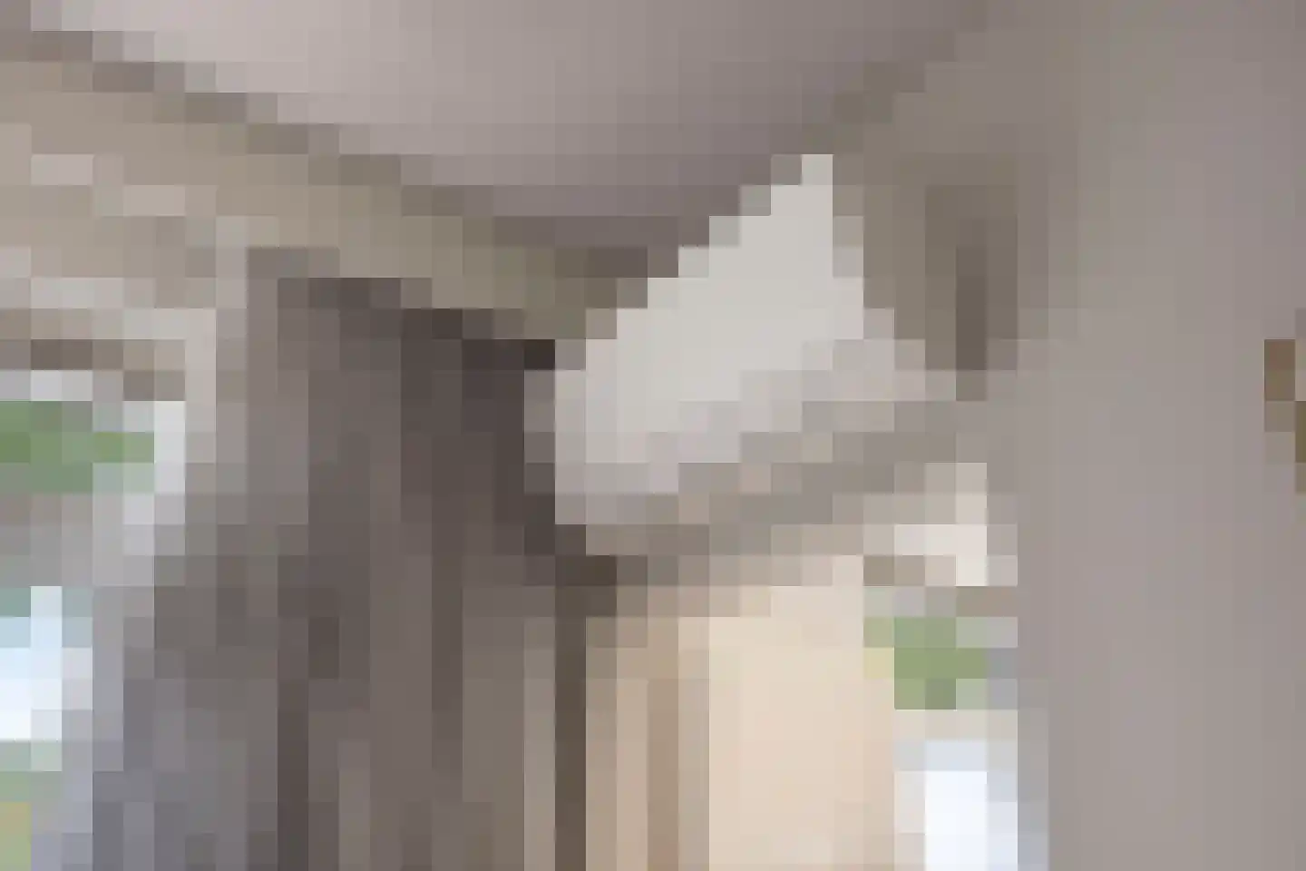 Sportlaan 1 Berlicum thumbnail 31