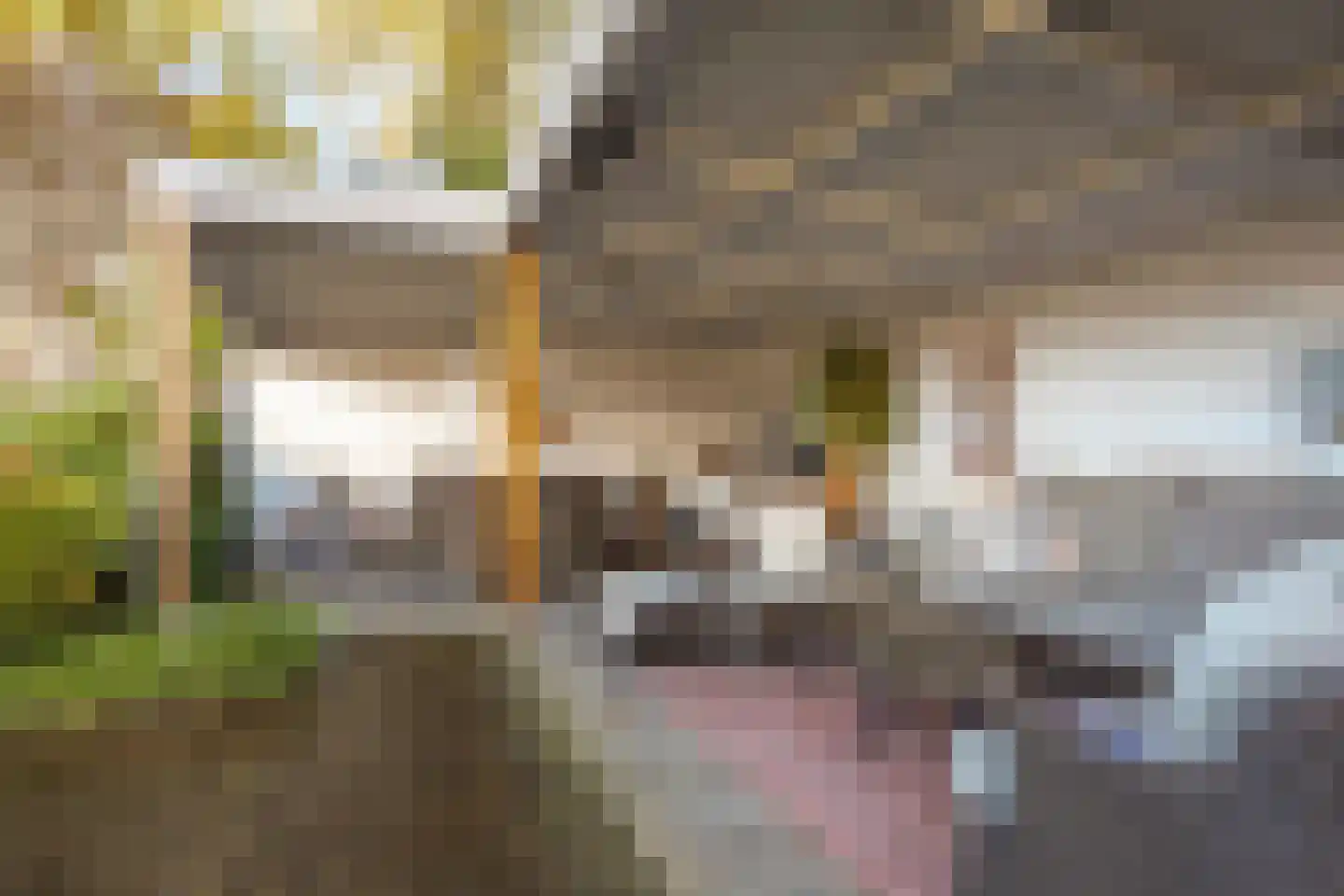 Sportlaan 1 Berlicum thumbnail 49
