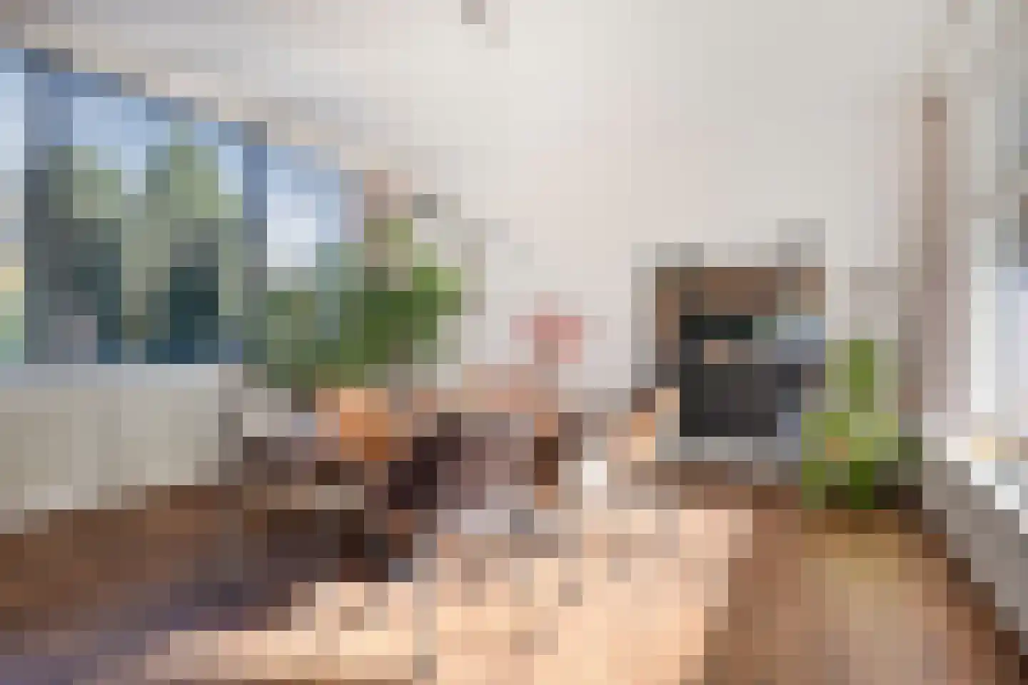 Sportlaan 1 Berlicum thumbnail 5
