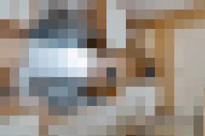 Sportlaan 1 D Nieuw-Buinen thumbnail 20