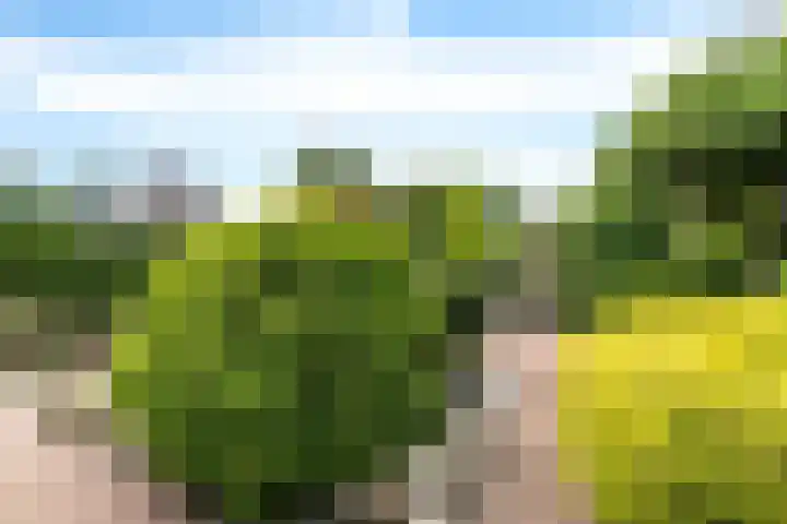 Sportlaan 1 D Nieuw-Buinen thumbnail 37