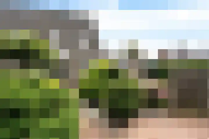 Sportlaan 1 D Nieuw-Buinen thumbnail 40