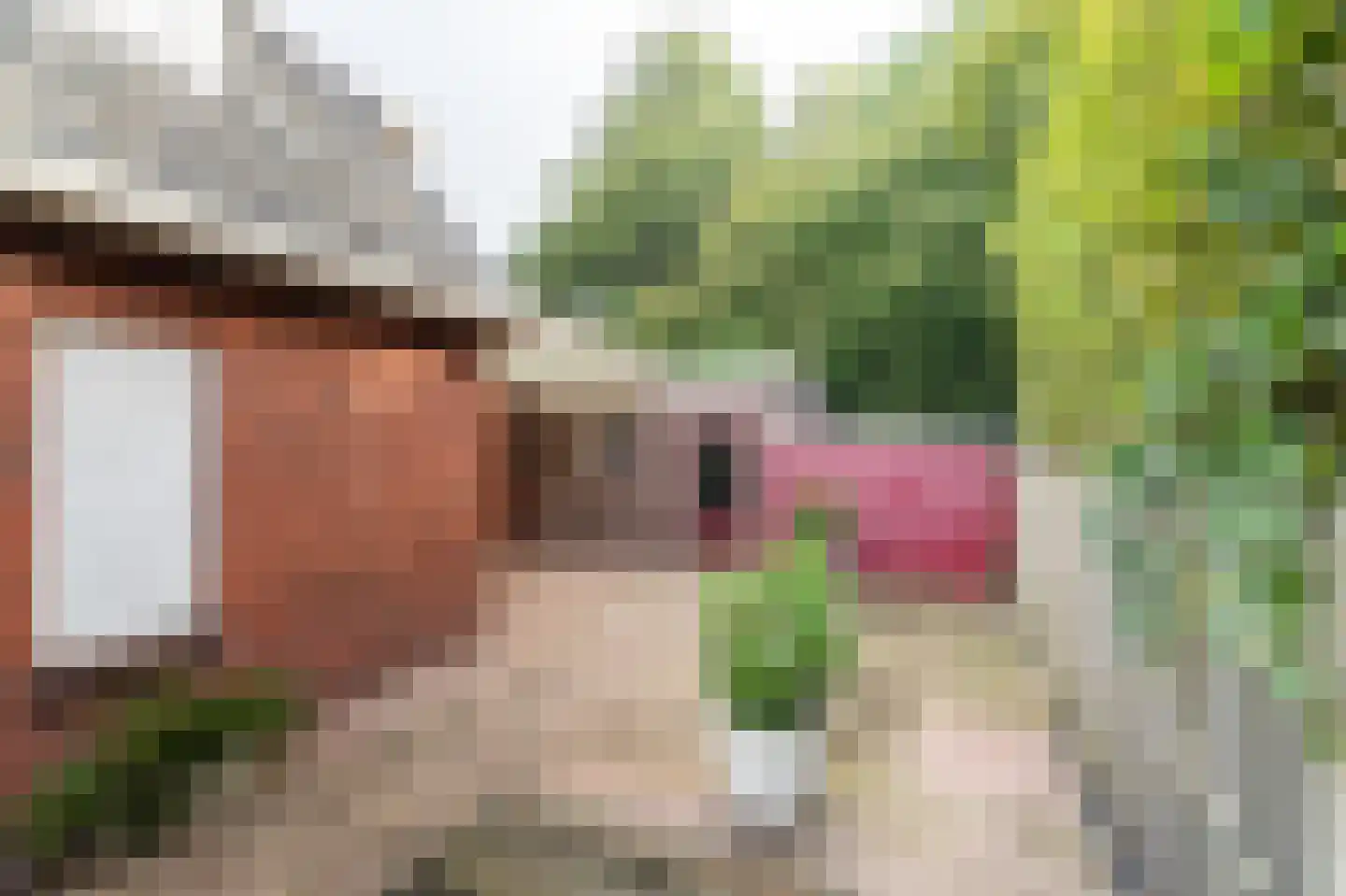 Sportlaan 1 IJsselmuiden thumbnail 26