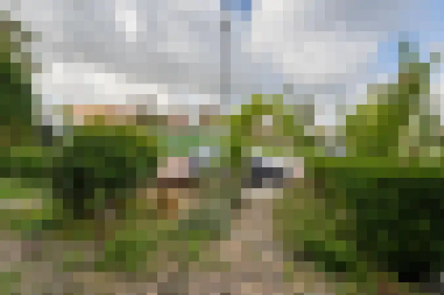 Sportlaan 1 IJsselmuiden thumbnail 4