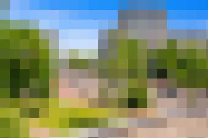 Sportlaan 10 Den Haag thumbnail 31