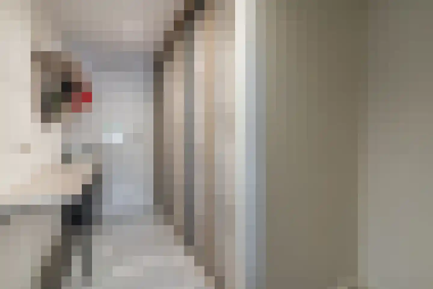 Sportlaan 10 't Harde thumbnail 18