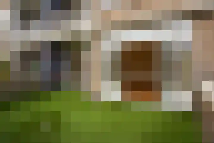 Sportlaan 1098 Den Haag thumbnail 15