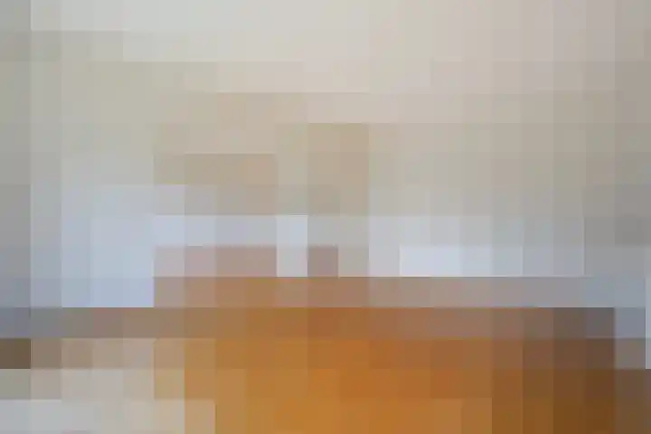 Sportlaan 1098 Den Haag thumbnail 16