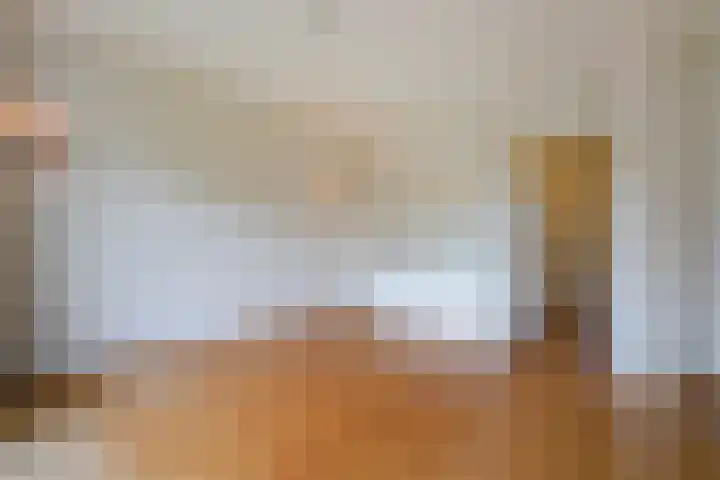 Sportlaan 1098 Den Haag thumbnail 18