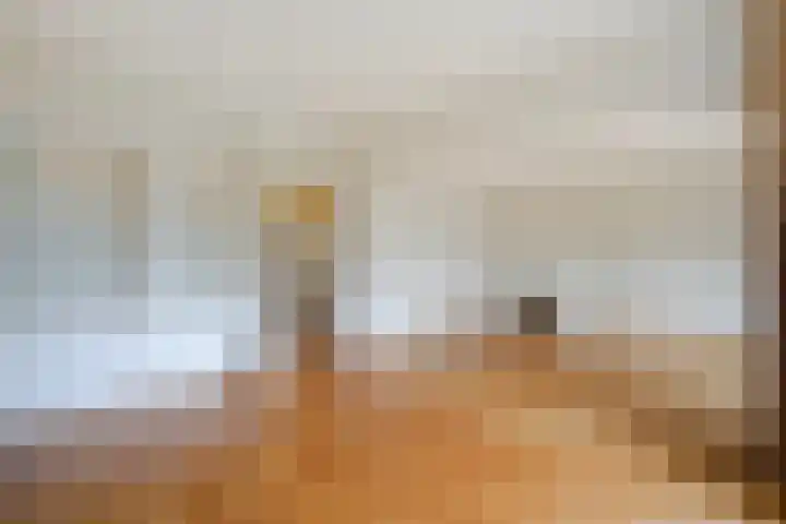 Sportlaan 1098 Den Haag thumbnail 19