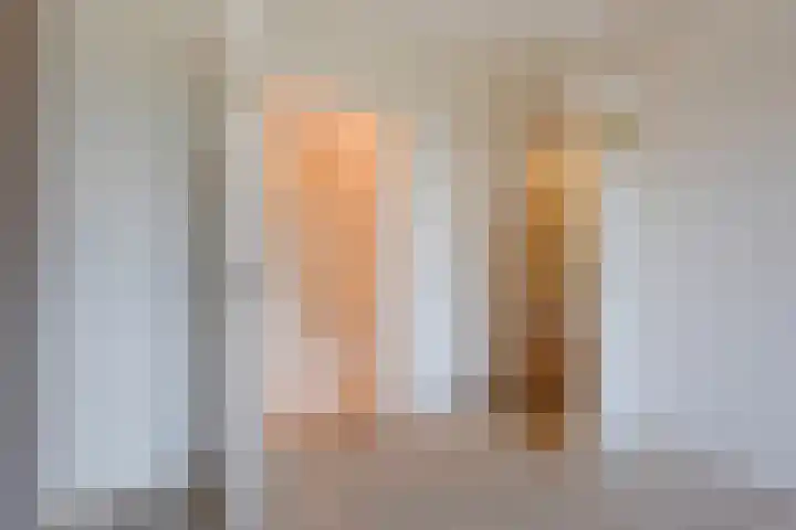 Sportlaan 1098 Den Haag thumbnail 25