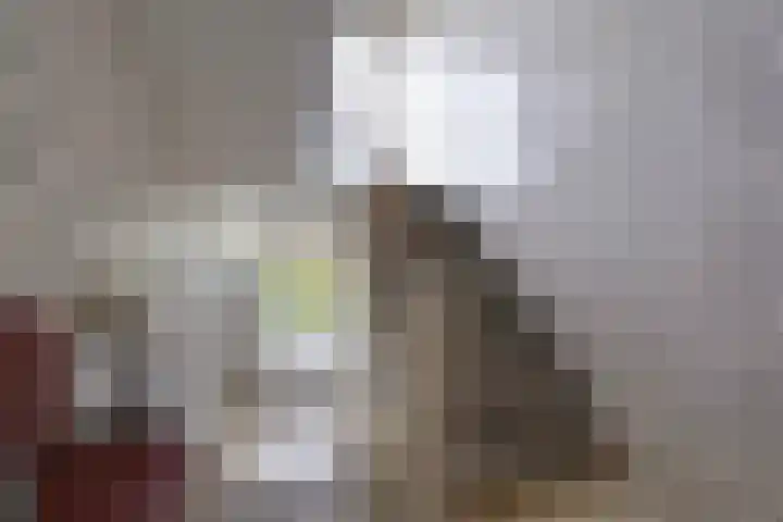 Sportlaan 1098 Den Haag thumbnail 32