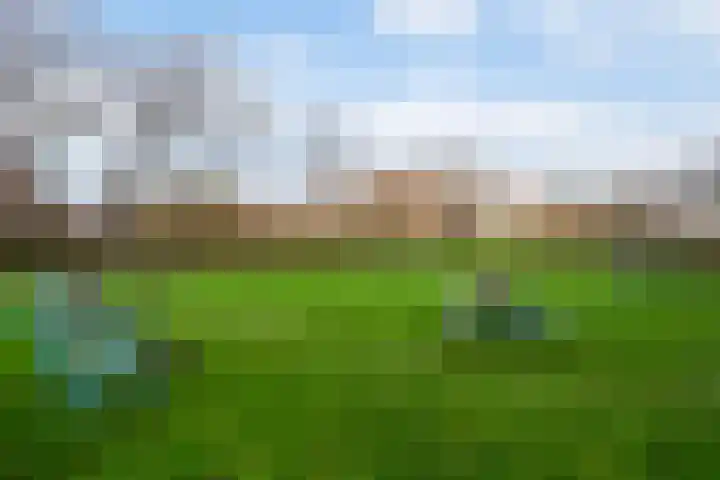 Sportlaan 1098 Den Haag thumbnail 33