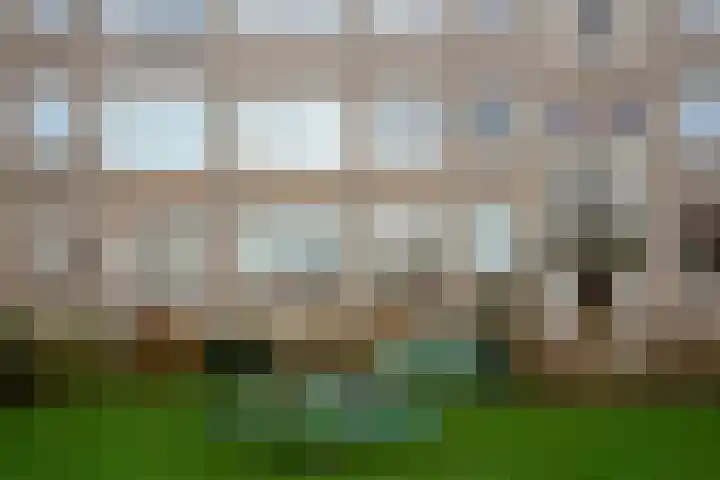 Sportlaan 1098 Den Haag thumbnail 35