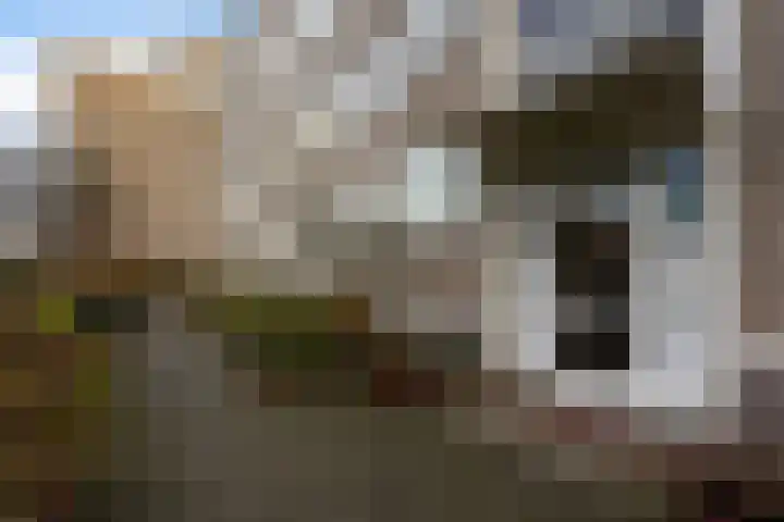 Sportlaan 1098 Den Haag thumbnail 5