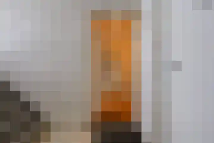 Sportlaan 1098 Den Haag thumbnail 6