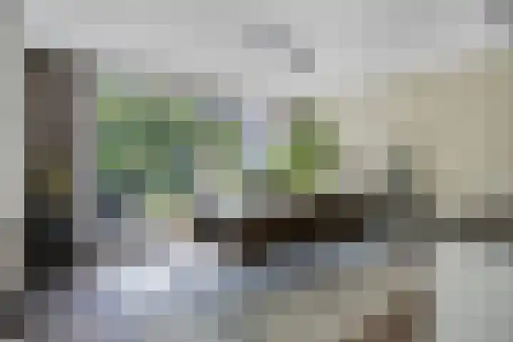 Sportlaan 11 Berlicum thumbnail 11
