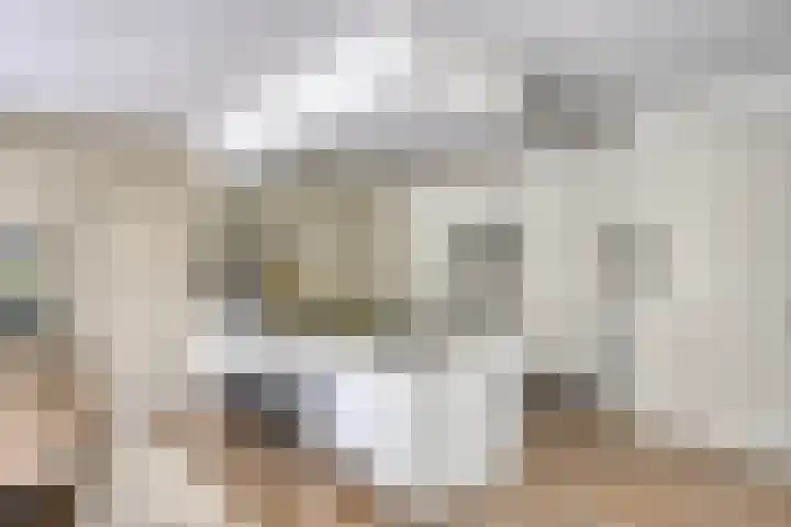 Sportlaan 11 Berlicum thumbnail 12