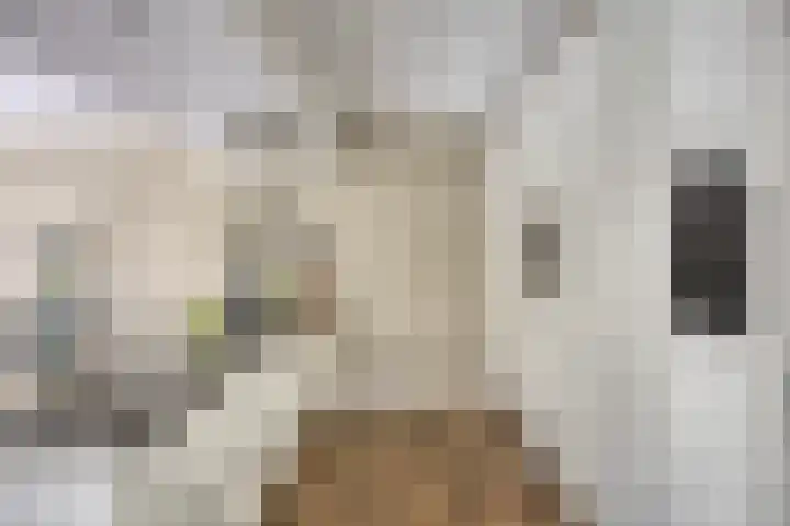 Sportlaan 11 Berlicum thumbnail 13