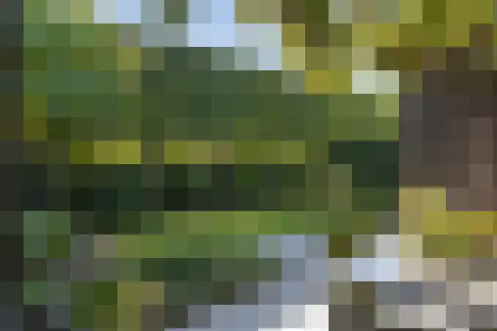 Sportlaan 11 Berlicum thumbnail 27