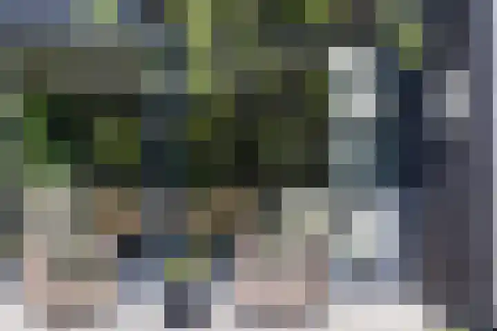 Sportlaan 11 Berlicum thumbnail 30
