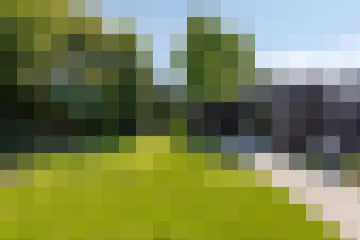 Sportlaan 11 Berlicum thumbnail 32