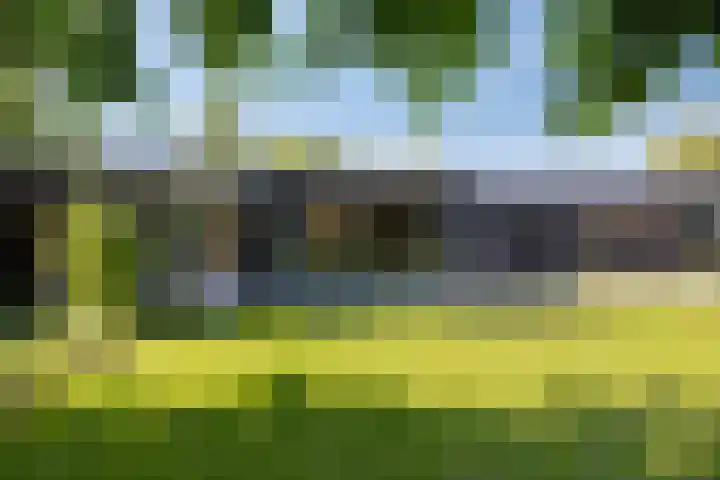 Sportlaan 11 Berlicum thumbnail 34