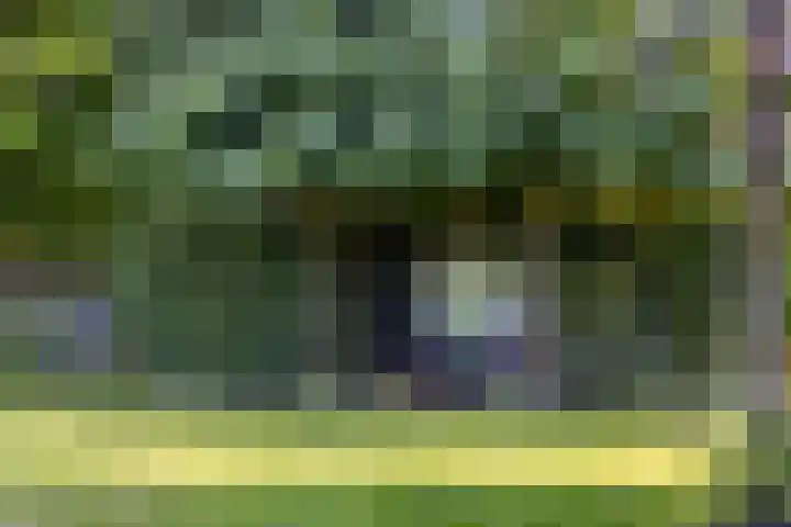 Sportlaan 11 Berlicum thumbnail 35