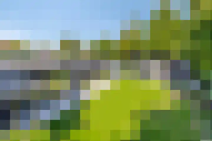 Sportlaan 11 Berlicum thumbnail 36