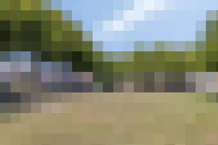 Sportlaan 11 Berlicum thumbnail 39