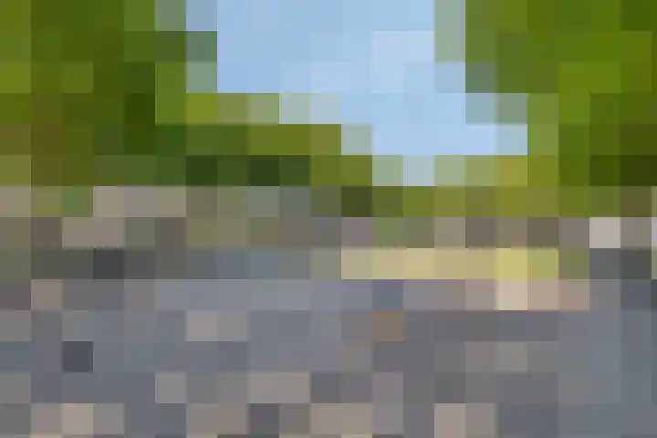 Sportlaan 11 Berlicum thumbnail 40