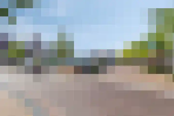 Sportlaan 11 Berlicum thumbnail 41
