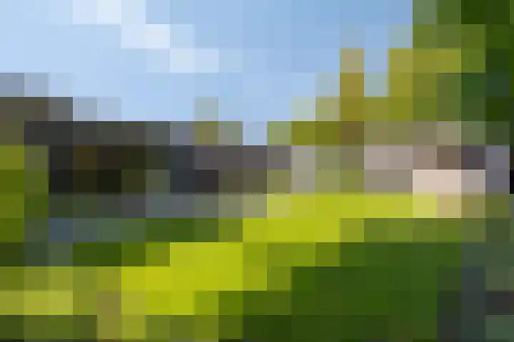 Sportlaan 11 Berlicum thumbnail 50