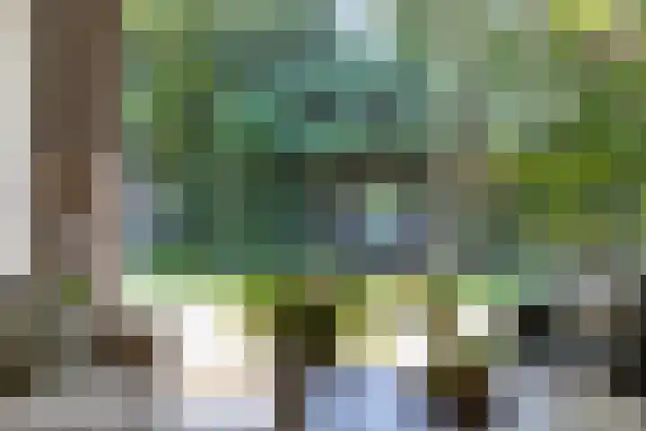 Sportlaan 11 Berlicum thumbnail 7