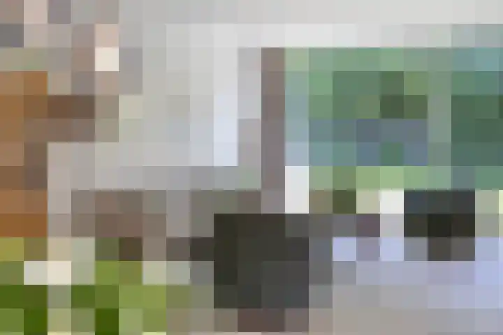 Sportlaan 11 Berlicum thumbnail 9