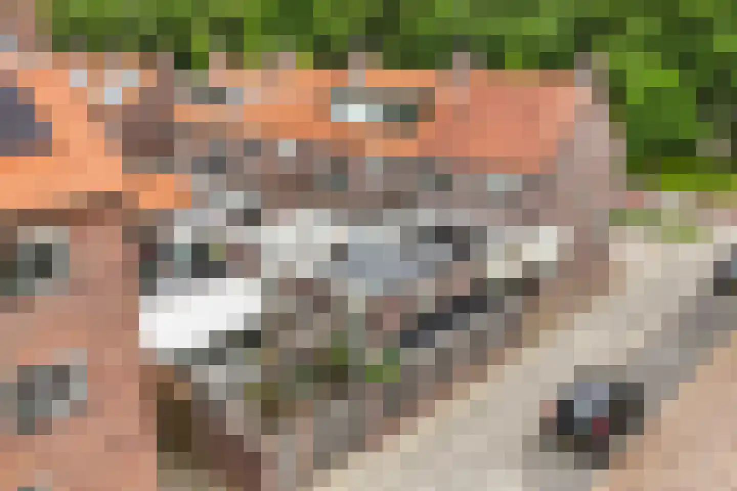 Sportlaan 11 Emmeloord thumbnail 46