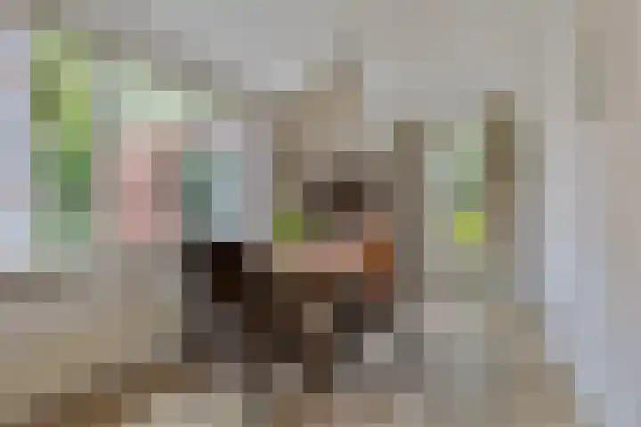 Sportlaan 11 Wolvega thumbnail 11