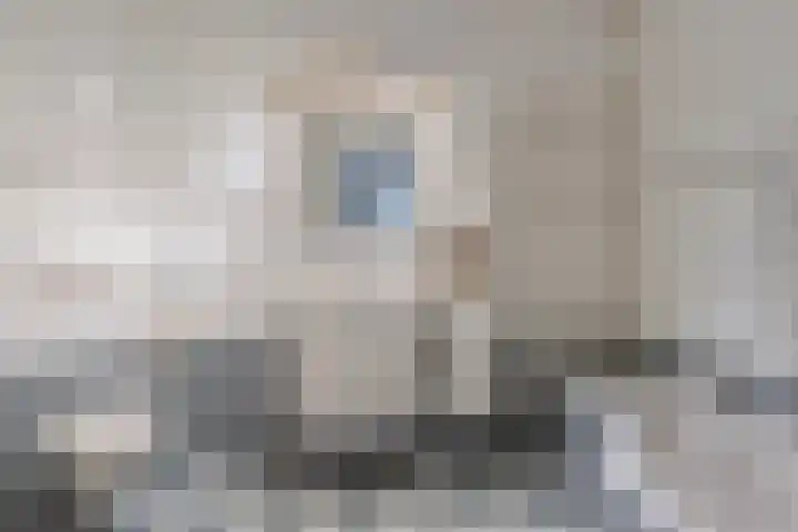 Sportlaan 11 Wolvega thumbnail 18