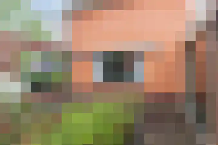 Sportlaan 11 Wolvega thumbnail 36