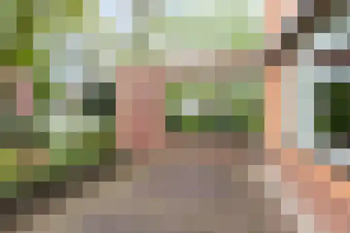 Sportlaan 11 Wolvega thumbnail 37