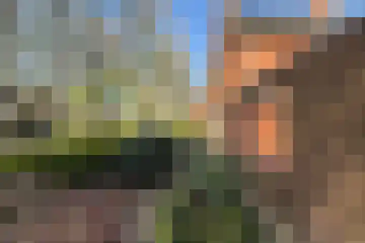 Sportlaan 11 Wolvega thumbnail 38
