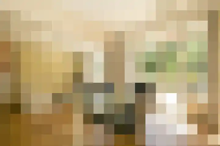 Sportlaan 1114 Den Haag thumbnail 17