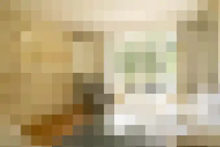 Sportlaan 1114 Den Haag thumbnail 18