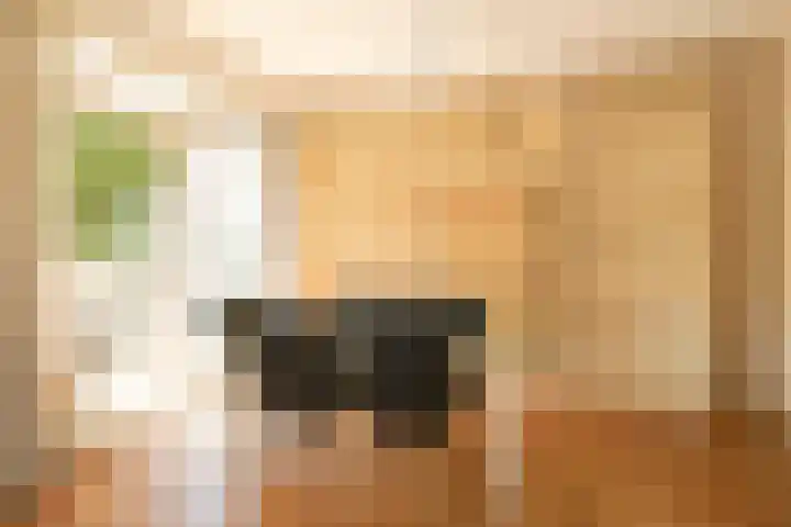 Sportlaan 1114 Den Haag thumbnail 20