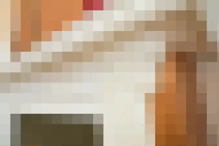 Sportlaan 1114 Den Haag thumbnail 23